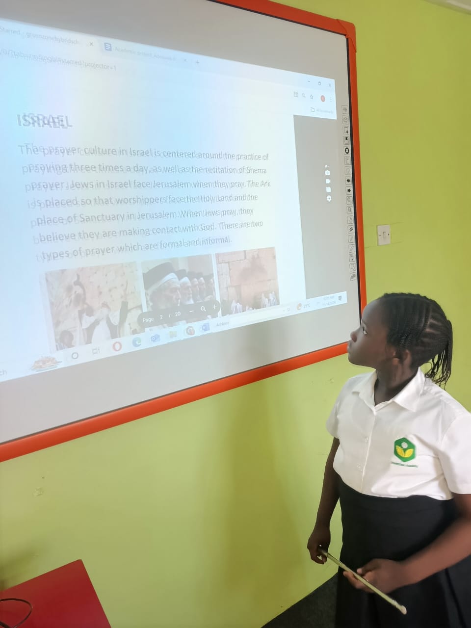 Greenzone volunteers in action